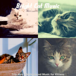 Hypnotic Jazz Guitar Trio - Vibe for Cute Cats