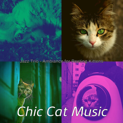 Jazz Trio - Ambiance for Resting Kittens
