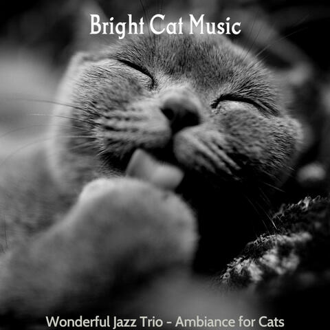 Wonderful Jazz Trio - Ambiance for Cats