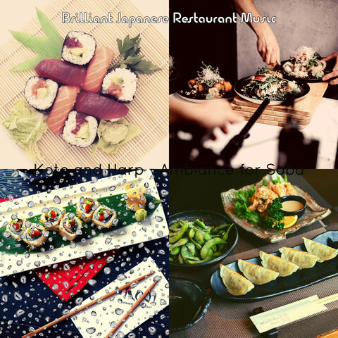 Koto and Harp - Ambiance for Soba