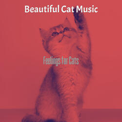 Magical Moods for Cats