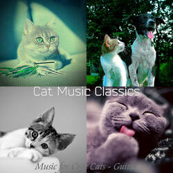 Mysterious Ambiance for Kittens