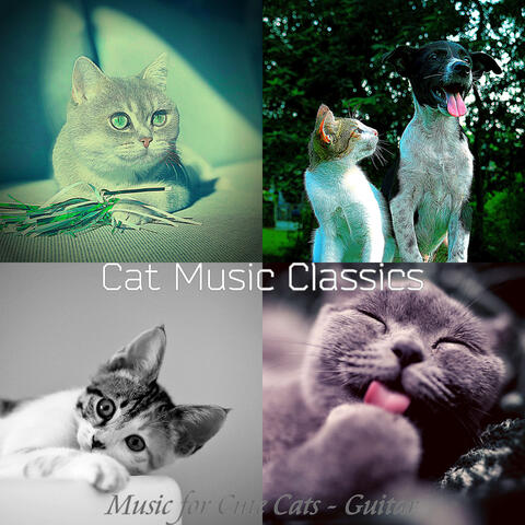 Music for Cute Cats - Guitar