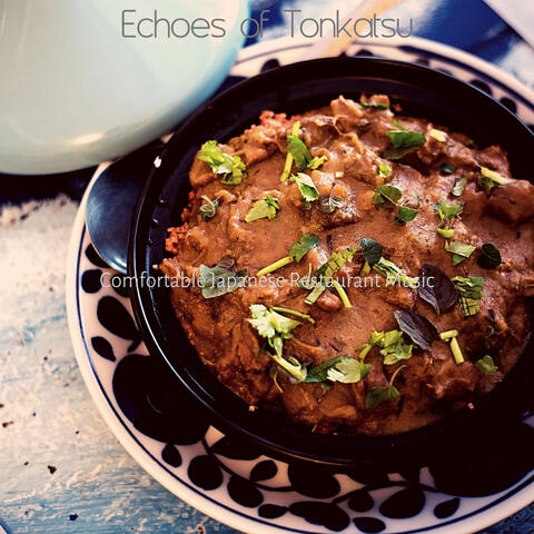 Echoes of Tonkatsu