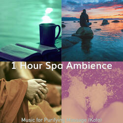 Thrilling Ambience for Purifying Massage