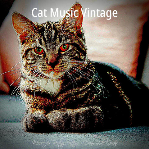 Music for Resting Kittens - Dream Like Guitar