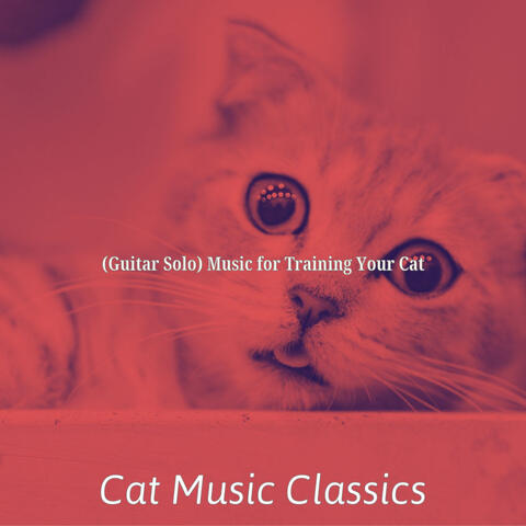 (Guitar Solo) Music for Training Your Cat