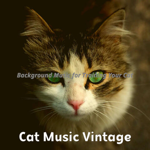 Background Music for Training Your Cat