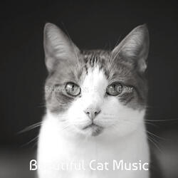 Dream Like Music for Kittens