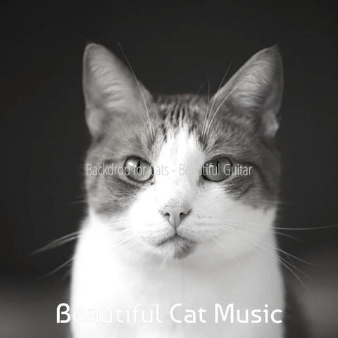 Backdrop for Cats - Beautiful Guitar