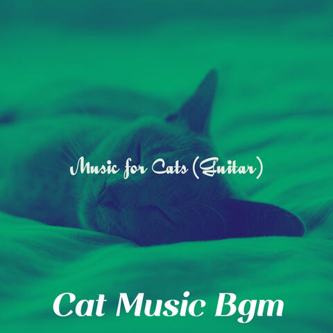 Music for Cats (Guitar)