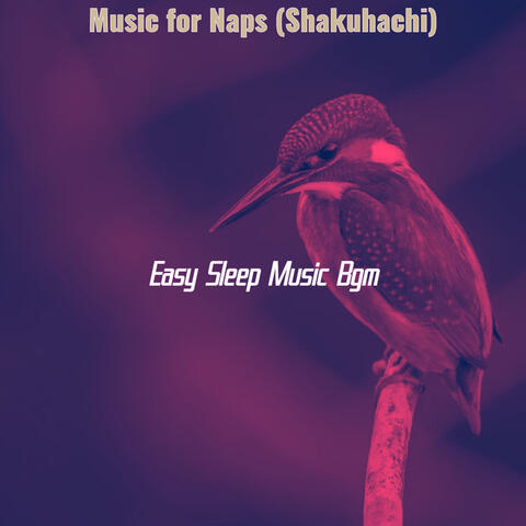 Music for Naps (Shakuhachi)