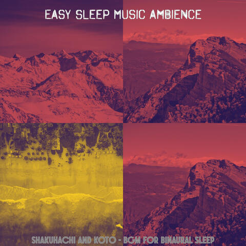 Shakuhachi and Koto - Bgm for Binaural Sleep