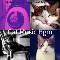 Background for Training Your Cat