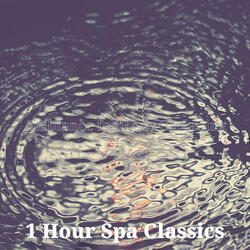 Wondrous Facial Therapy