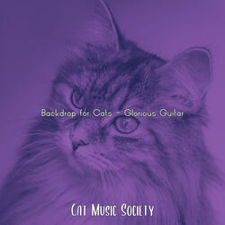 Trio Jazz Soundtrack for Training Your Cat