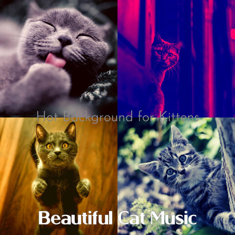 Hot Background for Kittens
