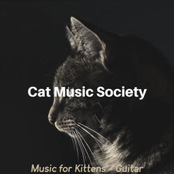 Astounding Jazz Guitar Trio - Vibe for Kittens
