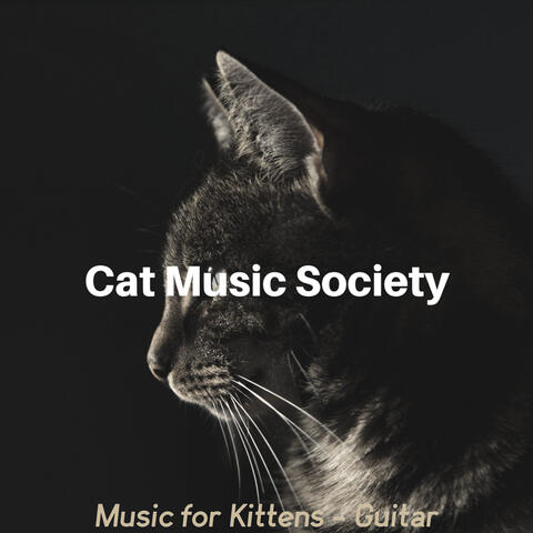 Music for Kittens - Guitar