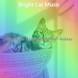 Sunny Music for Training Your Cat