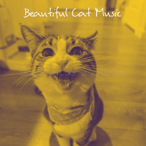Music for Cute Cats - Guitar