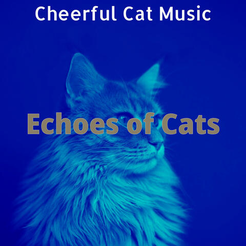Echoes of Cats