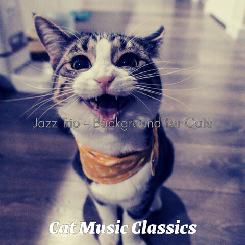 Jazz Trio - Background for Cats