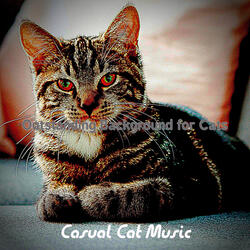 Subtle Backdrops for Resting Kittens