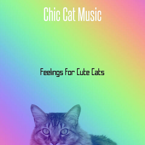 Feelings for Cute Cats