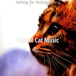 Exquisite Backdrops for Resting Kittens