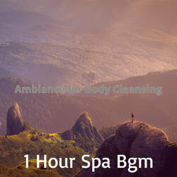 Energetic Koto and Strings - Vibe for Purifying Massage