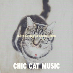 Trio Jazz Soundtrack for Resting Kittens