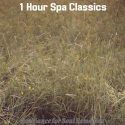 Harp and Koto Soundtrack for Stone Massage