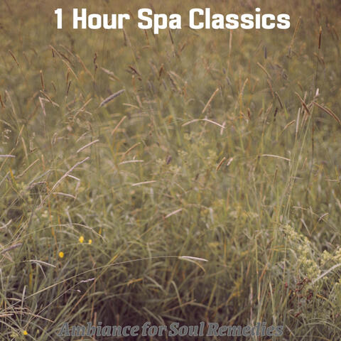 Ambiance for Soul Remedies