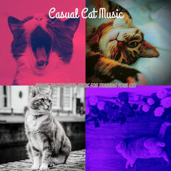 Background for Cats