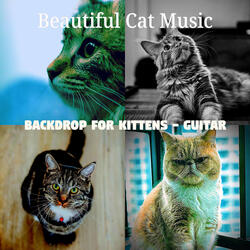Fabulous Music for Cats