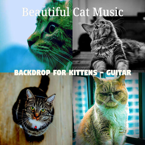 Backdrop for Kittens - Guitar