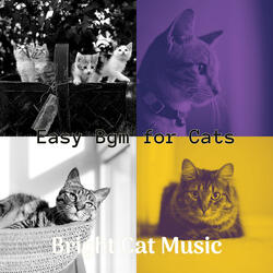 Background for Training Your Cat