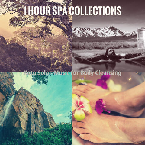 Koto Solo - Music for Body Cleansing