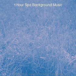 Remarkable Koto and Strings - Vibe for Purifying Massage