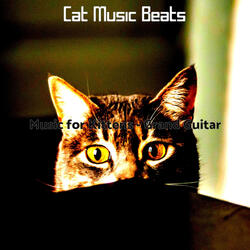 Playful Moods for Cats