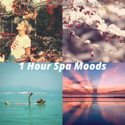 Subtle Koto and Strings - Vibe for Revitalizing Facials