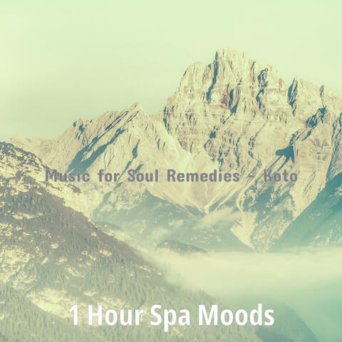 Music for Soul Remedies - Koto