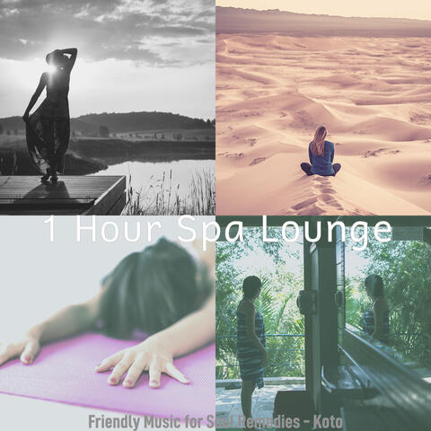 Friendly Music for Soul Remedies - Koto