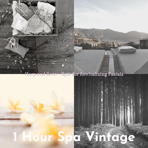 Harp and Koto - Bgm for Revitalizing Facials