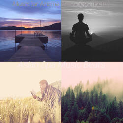 Heavenly Ambience for Neck Massage