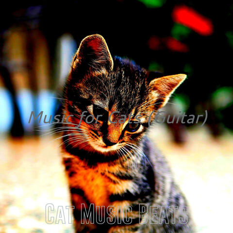 Music for Cats (Guitar)