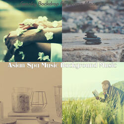 Distinguished Koto and Strings - Vibe for Neck Massage