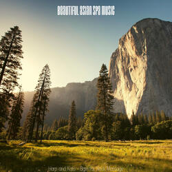 Simple Music for Dreams