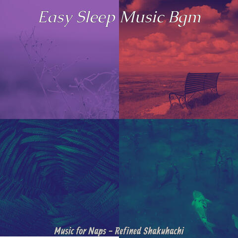 Music for Naps - Refined Shakuhachi